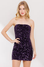 DD 1362 - Sequin Tube Dress