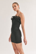 DD 1352 - Textured Tulle Mini Dress