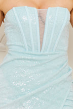 DD 1481 - Sequin Tube Top Midi Dress