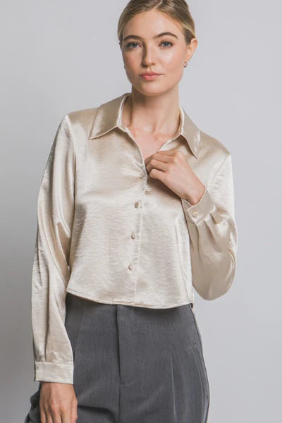 DT 1839 - Satin Button Up Shirt