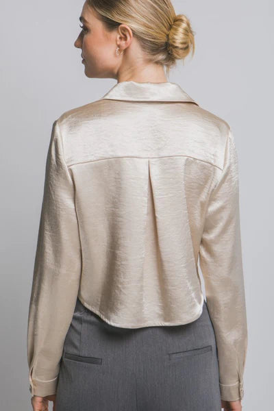 DT 1839 - Satin Button Up Shirt