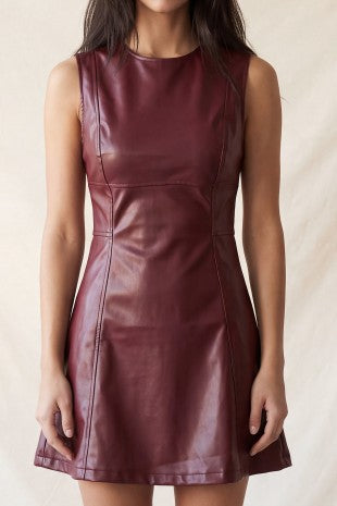 DD 1485 - Faux Leather A-Line Mini Dress