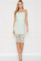 DD 1454 - Lace Sequin Dress