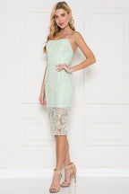 DD 1454 - Lace Sequin Dress